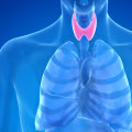 The Role of Iodine in Maintaining Thyroid Health