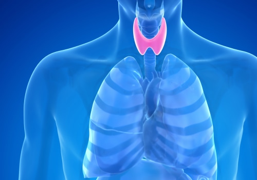 The Role of Iodine in Maintaining Thyroid Health